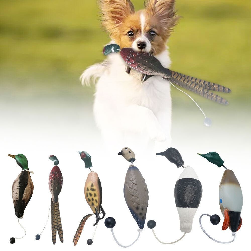 Divertente Richiamo per Anatre - Decoy Duck Plastic recensione e prezzo