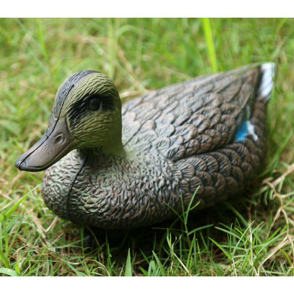 Ornamenti a forma di anatra ma - Decoy Duck Plastic recensione e prezzo