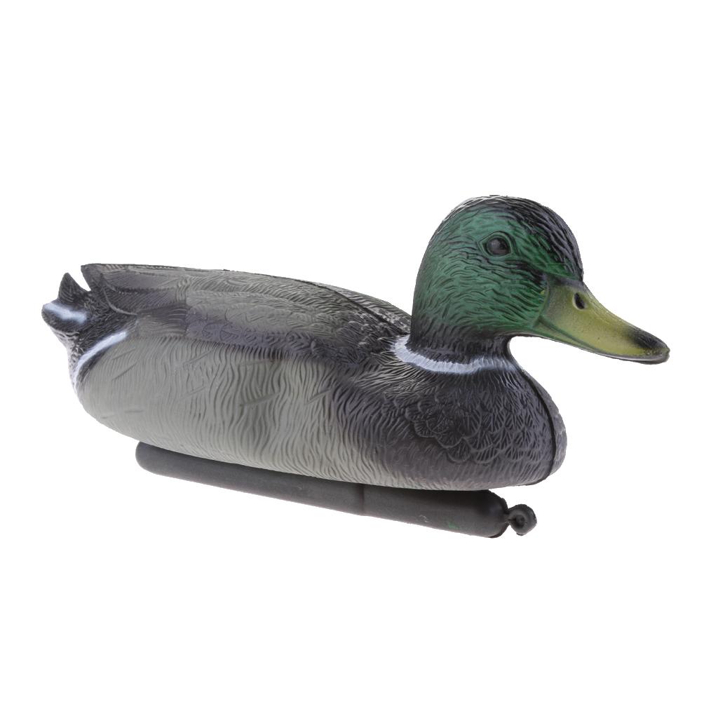 Richiamo per Anatre Anatre Rea - Decoy Duck Plastic recensione e prezzo