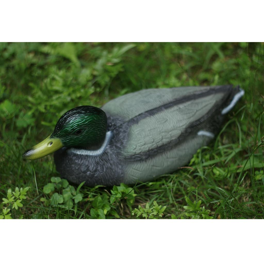 Richiamo per Anatre Anatre Rea - Decoy Duck Plastic recensione e prezzo
