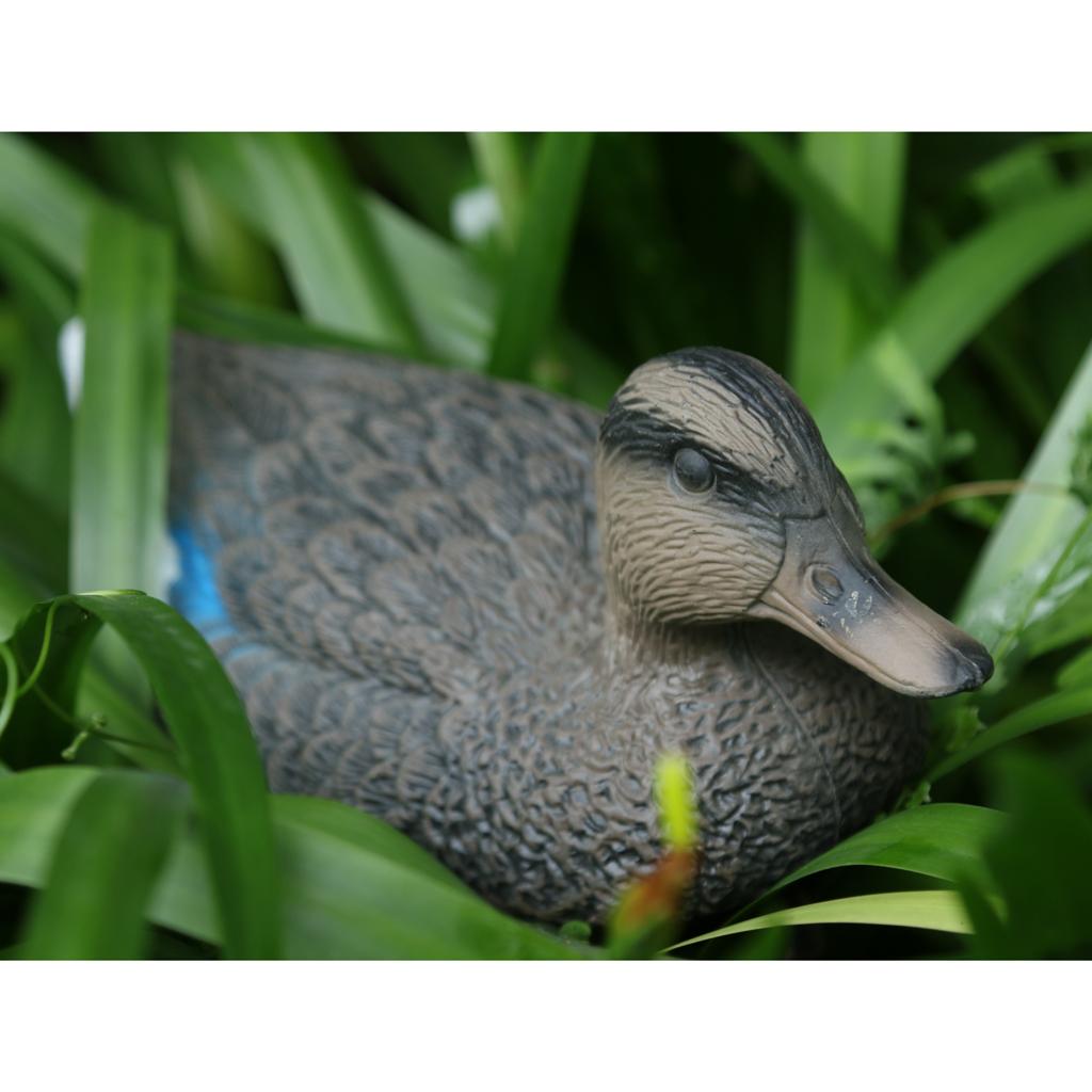 Anatra Mandarina Artificiale,  - Decoy Duck Plastic recensione e prezzo