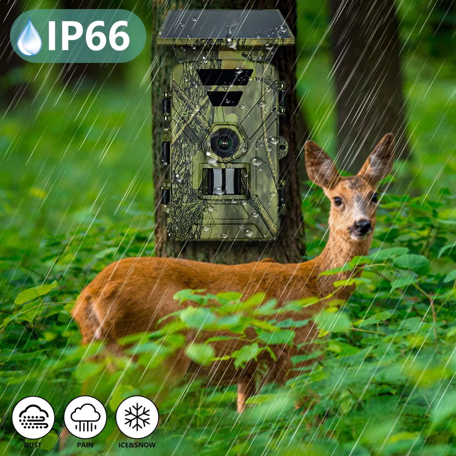 Fotocamera Solare da Caccia 8K - Outdoor Hunting Camera Wifi recensione e prezzo