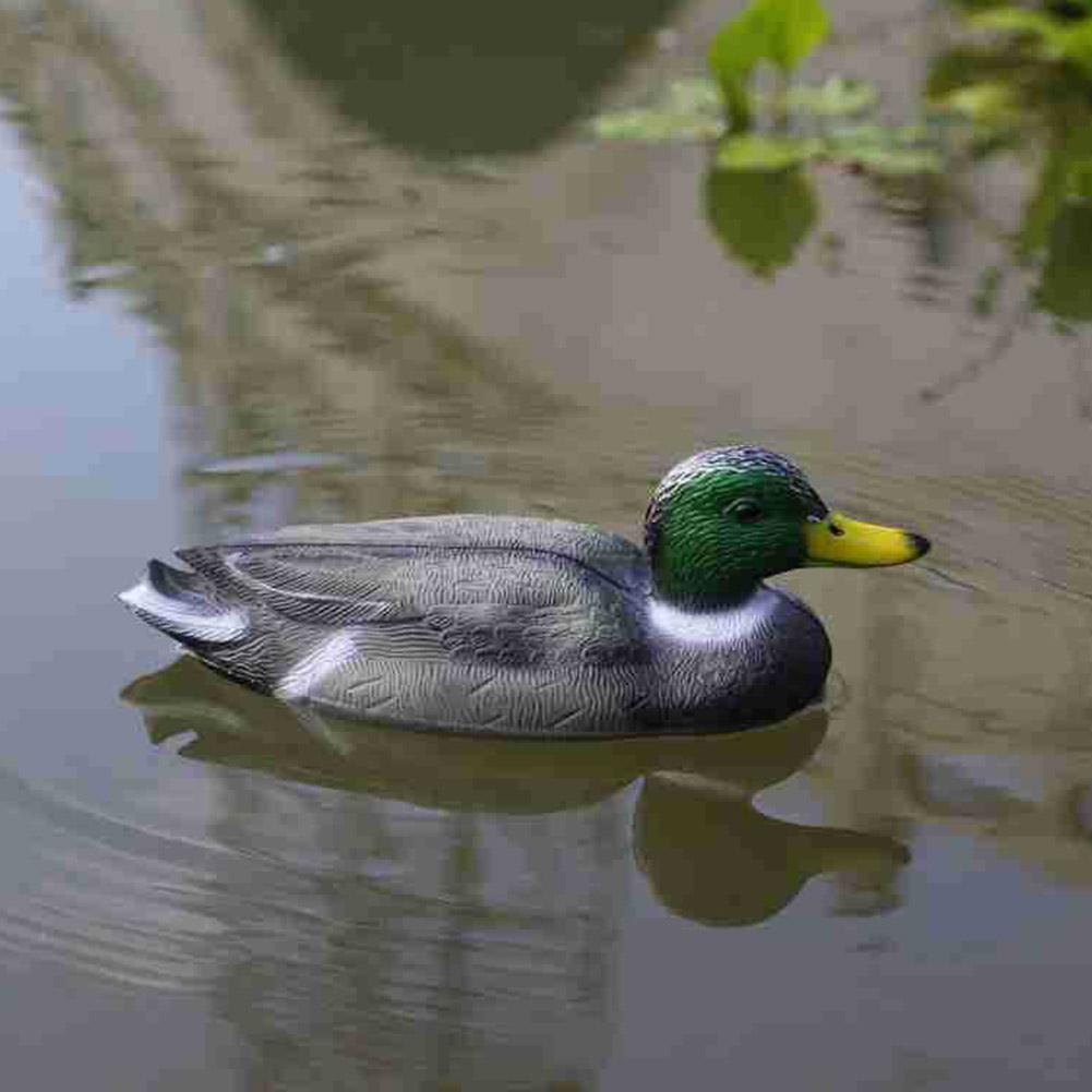 Richiamo per Anatre Realistico - Decoy Duck Plastic recensione e prezzo