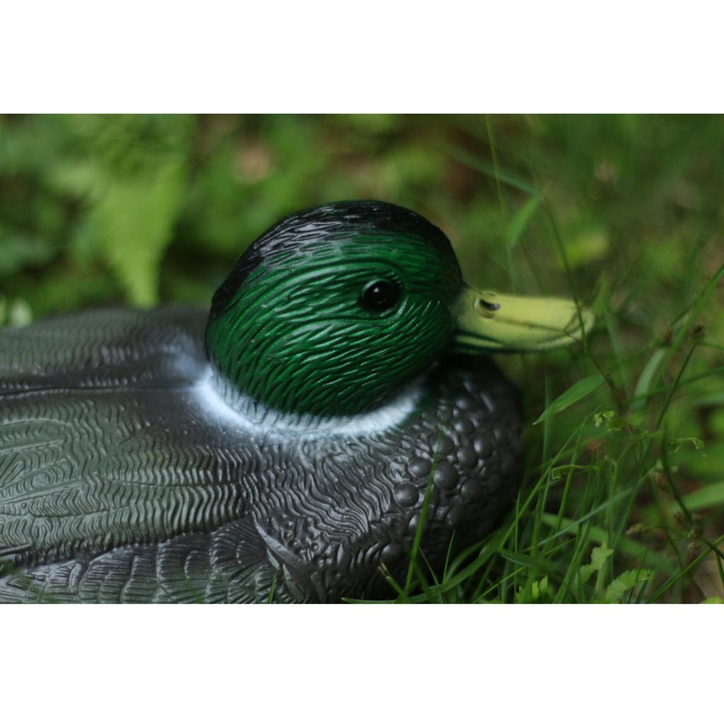 Spaventapasseri a Forma di Ana - Decoy Duck Plastic recensione e prezzo