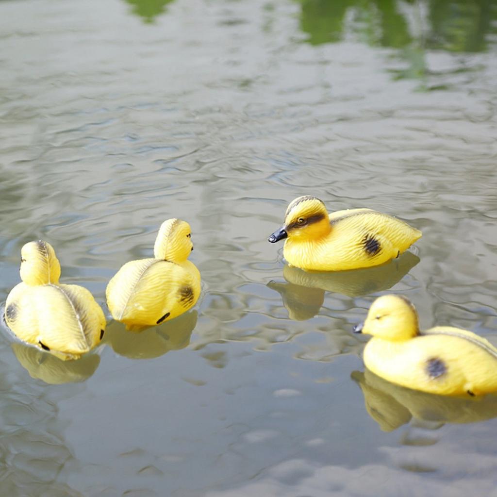 5 pezzi anatra galleggiante an - Decoy Duck Plastic recensione e prezzo